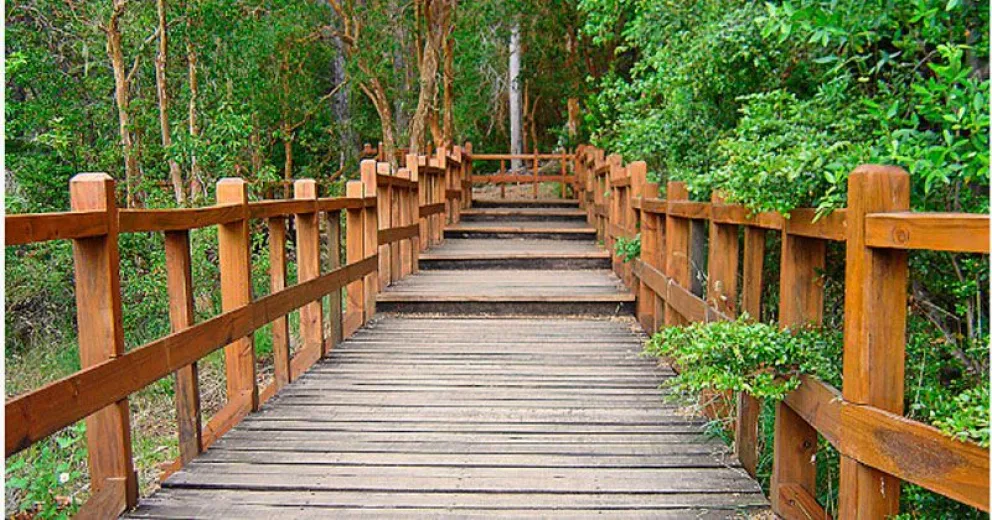 Se habilitó el ingreso al Parque Nacional Los Arrayanes y el Nahuel Huapi en Villa La Angostura