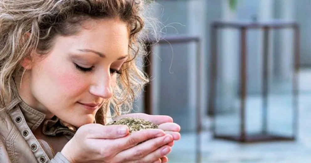 “La cultura del mate con bombilla no se va a perder, pero es probable que mute a un mate individual”