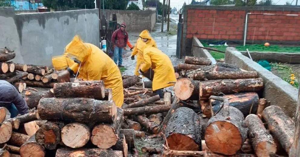 Cómo sigue el cronograma de entrega de leña del Plan Calor la próxima semana