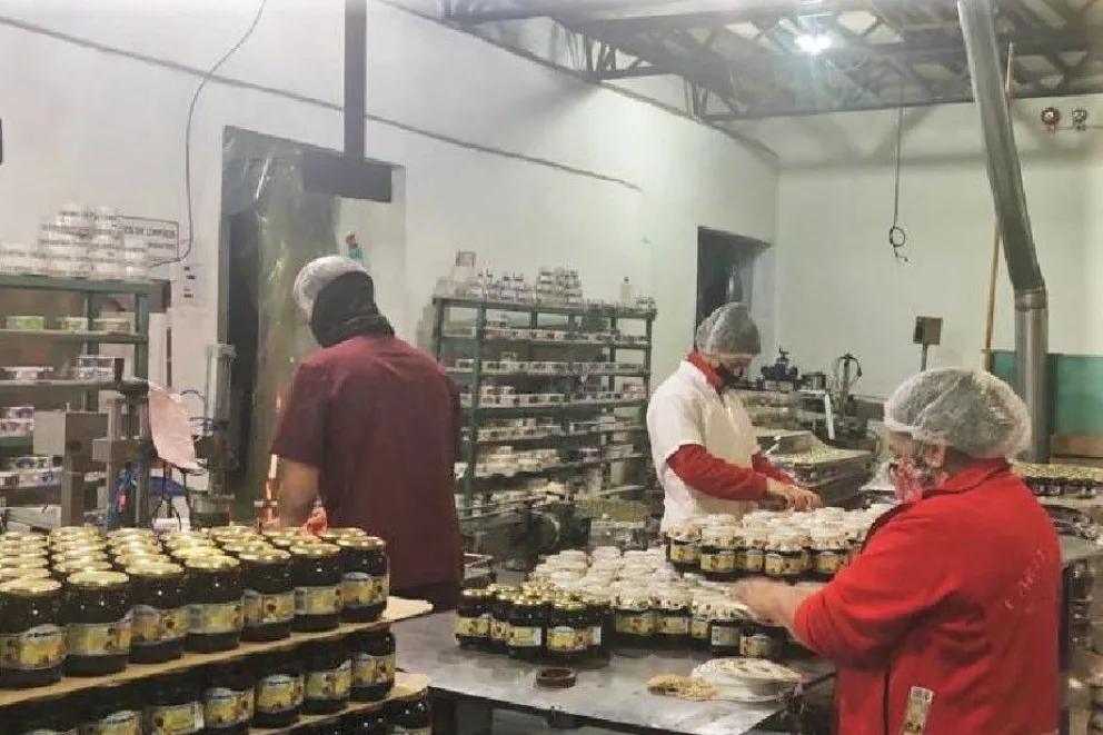 Están las primeras empresas rionegrinas que tendrán asistencia técnica subsidiada por Nación