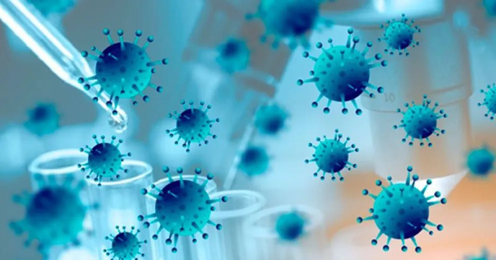 Proyectos de investigadores y técnicos del CONICET en Bariloche serán financiados por el Ministerio de Ciencia, Tecnología e Innovación de la Nación