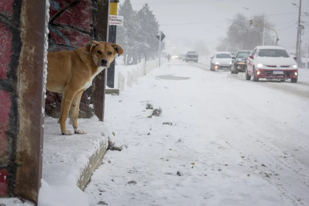 Cierre preventivo de las Rutas Nacionales 23 y 40 hasta las 10 de mañana