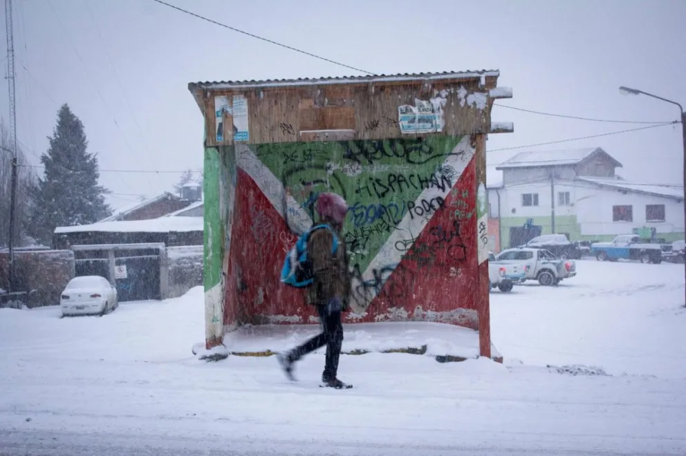 ¿Cuáles son las lineas sin servicio y cuáles modificaron horarios?