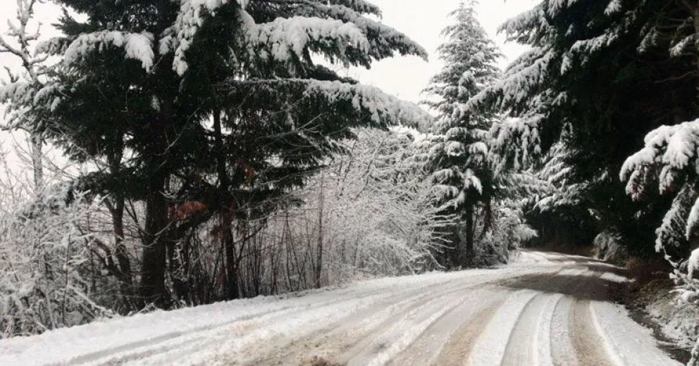 No habrá recolección de residuos hasta el lunes