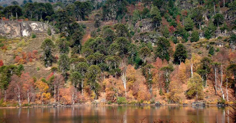 “En la cosmovisión de las comunidades originarias, su destino está ligado directamente a la naturaleza”