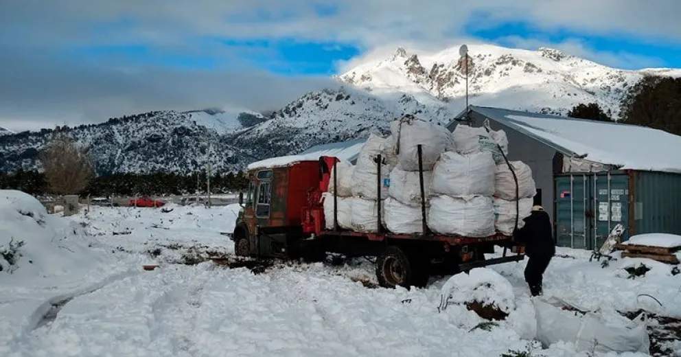 Primera entrega de leña al Plan Calor por el Grupo Ecoforestal