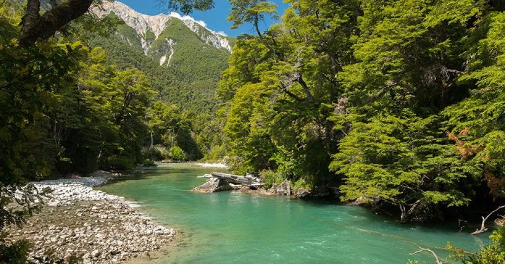 El Parque Nacional Los Alerces cumple tres años como Sitio de Patrimonio Mundial Natural de la UNESCO