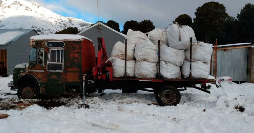 Se trata de aprovechar el residuo forestal