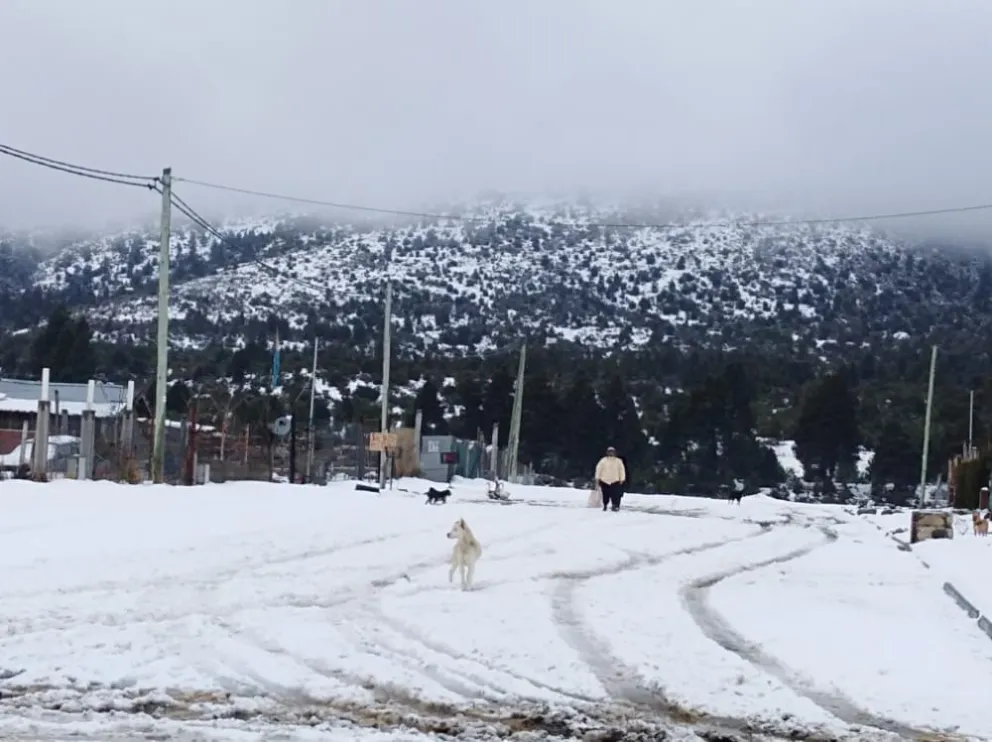 Olla Manos Unidas necesita donaciones de alimentos