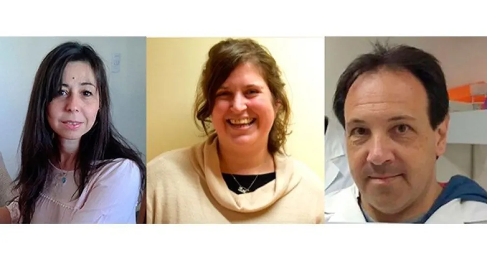 Descubren un mediador clave entre el ejercicio físico, la maduración neuronal y la formación de memorias