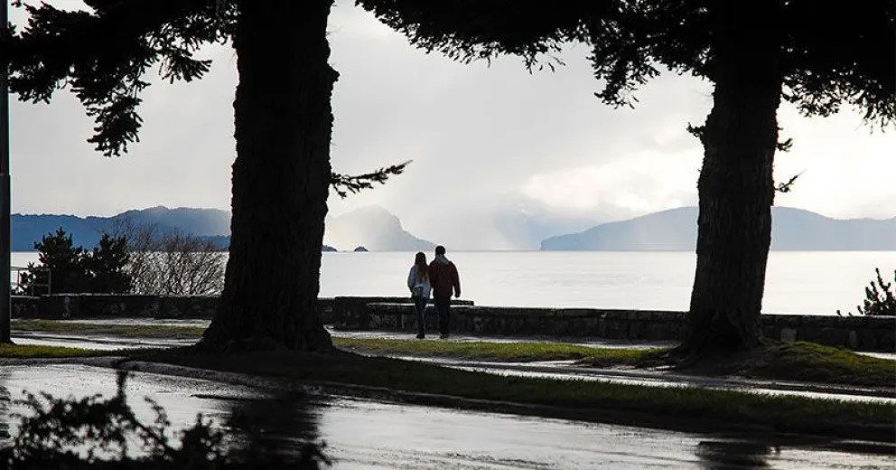 EMOCIONES ENCONTRADAS: Pájaros libres