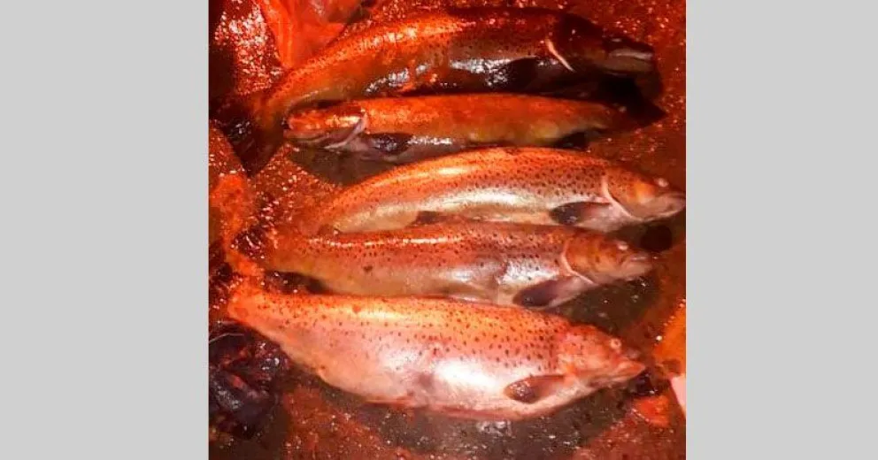 Furtivos fueron sorprendidos por personal policial con cinco truchas