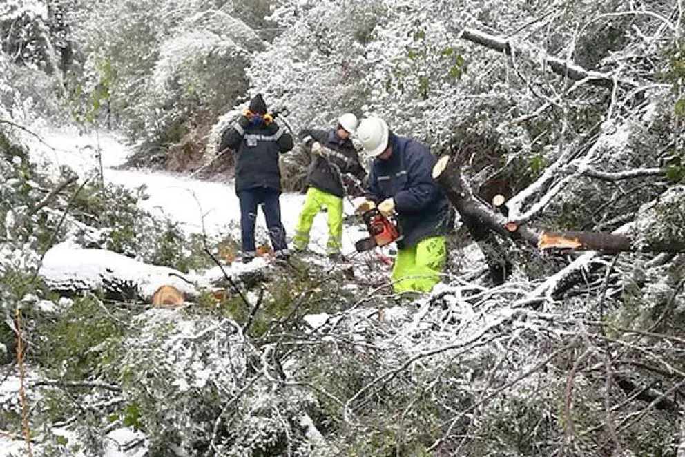 Las cuadrillas de la CEB continúan trabajando a raíz del temporal de nieve