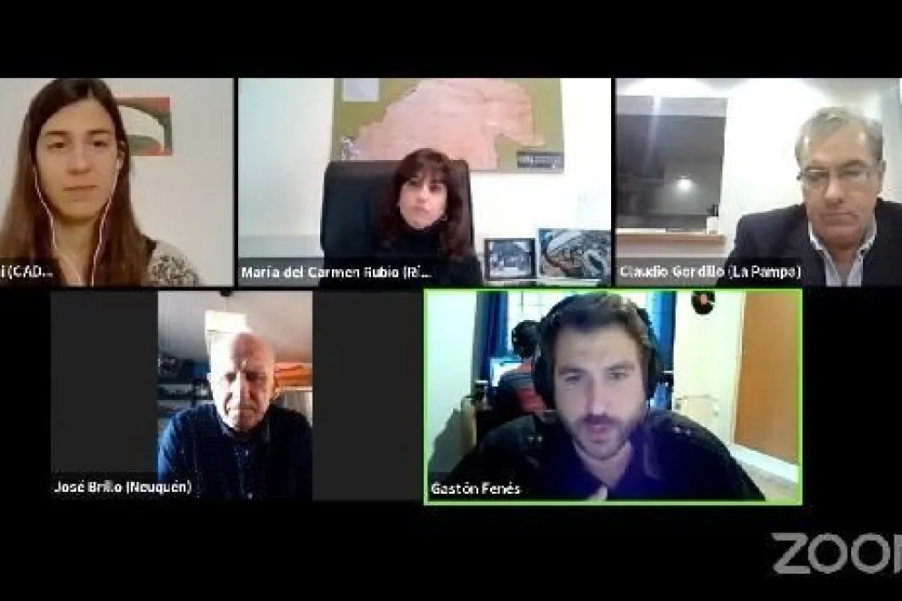 Río Negro expuso su potencial en energías renovables en un seminario virtual nacional