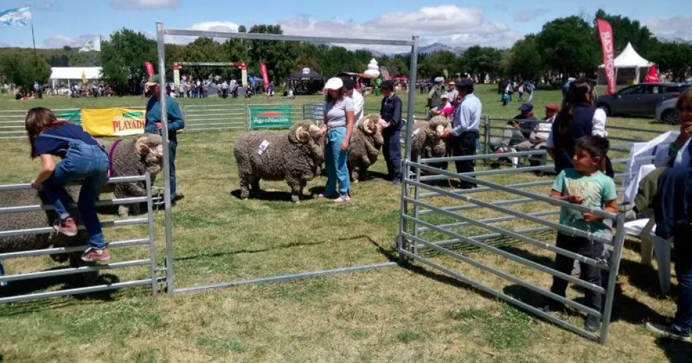 El campo de la región espera mayor volumen de compra de los mercados exteriores