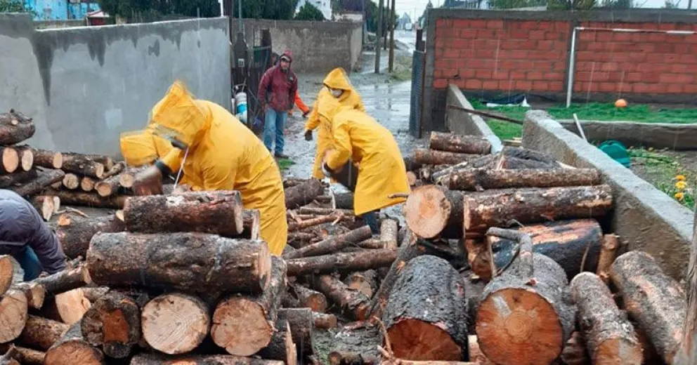 Plan Calor: cronograma de entrega de leña la próxima semana
