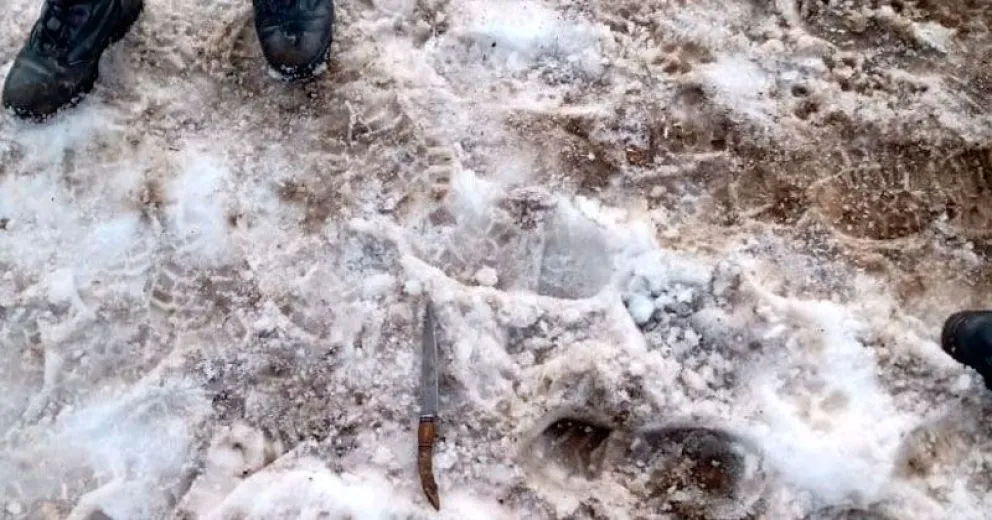 Arrestados por ocasionar disturbios y amenazar al personal policial