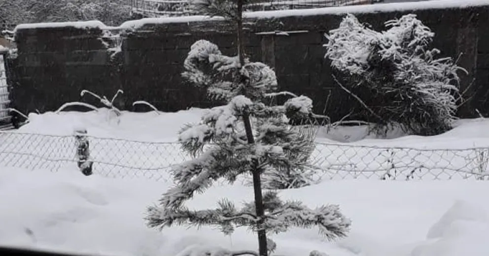 ¿Cómo está tu barrio con la nevada?