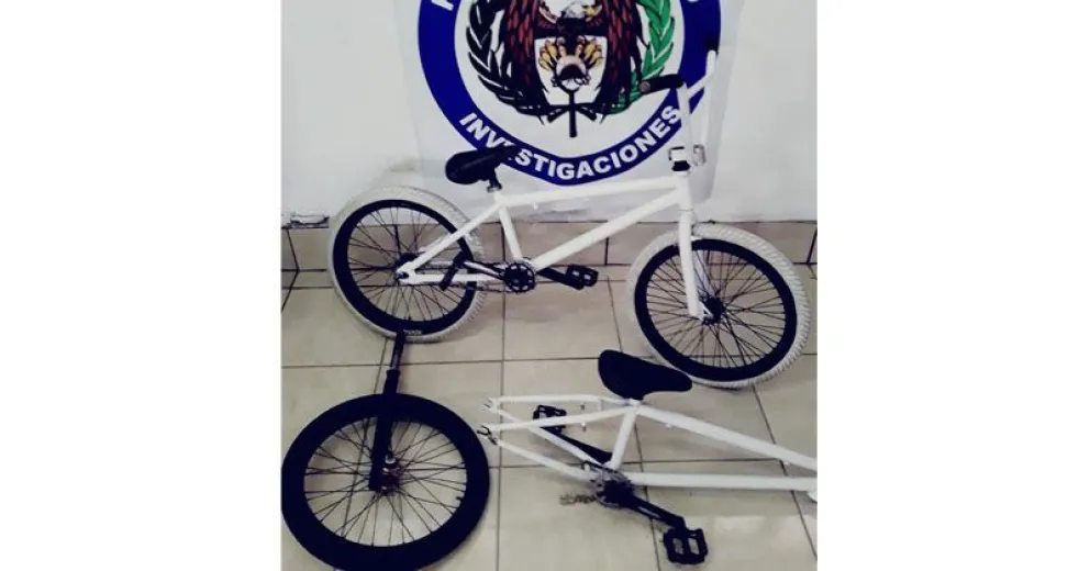 En dos domicilios la Policía encontró  gran cantidad de elementos robados