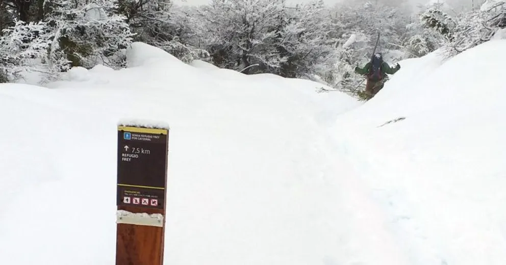 Estado de senderos habilitados en el Parque Nacional
