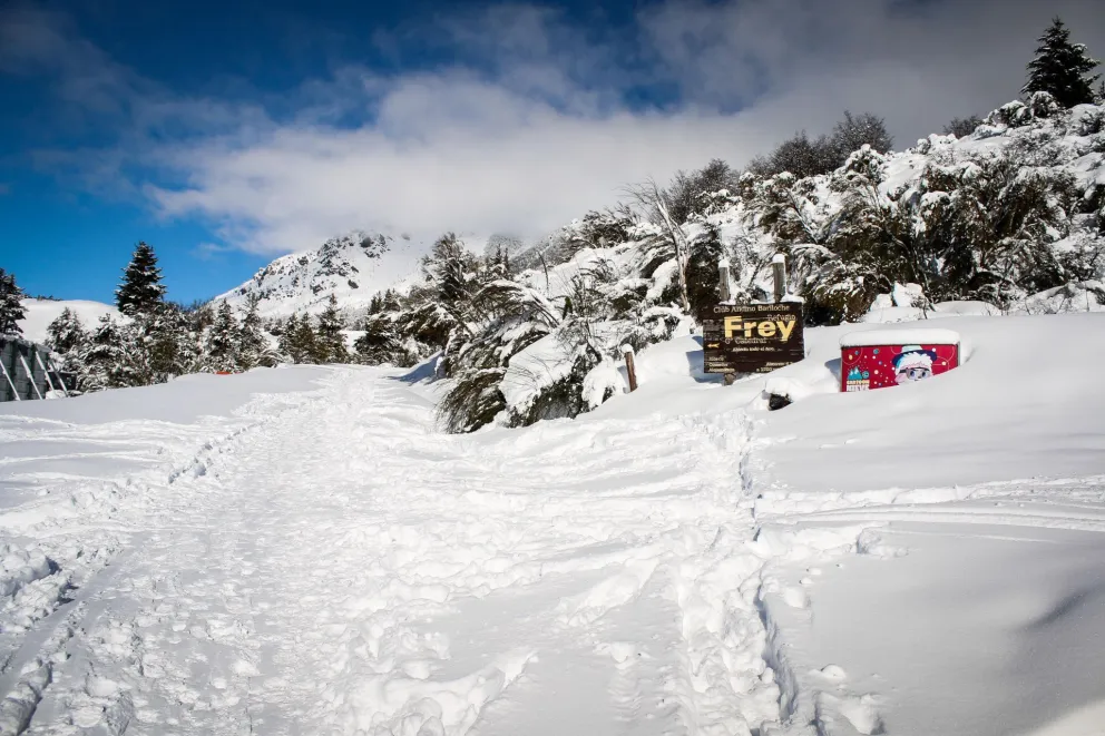 Activa participación del Parque Nacional Nahuel Huapi durante la emergencia