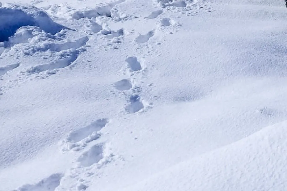 “Gracias a Dios esto ha terminado bien, podría haber terminado mal”