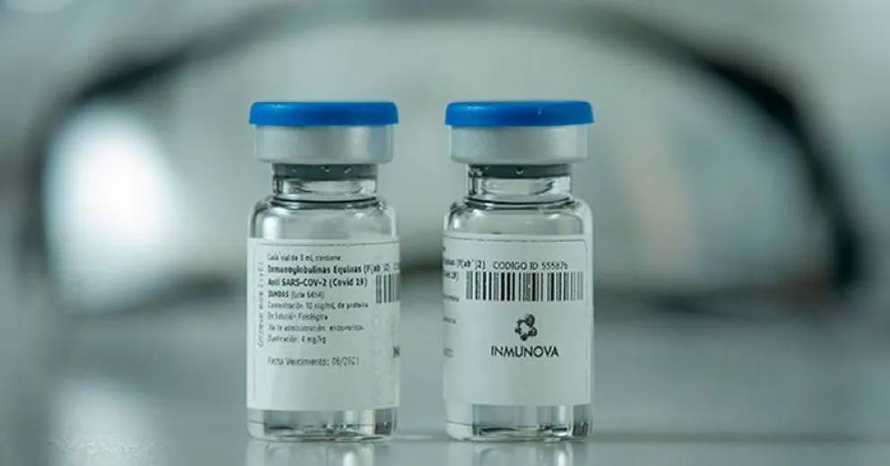 Pacientes recibirán suero equino hiperinmune