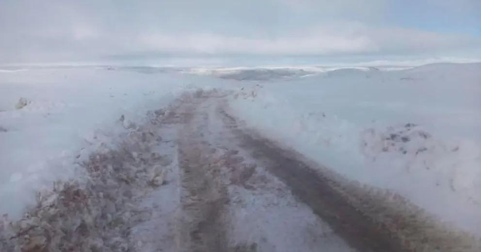 Estado actual de las rutas en la provincia