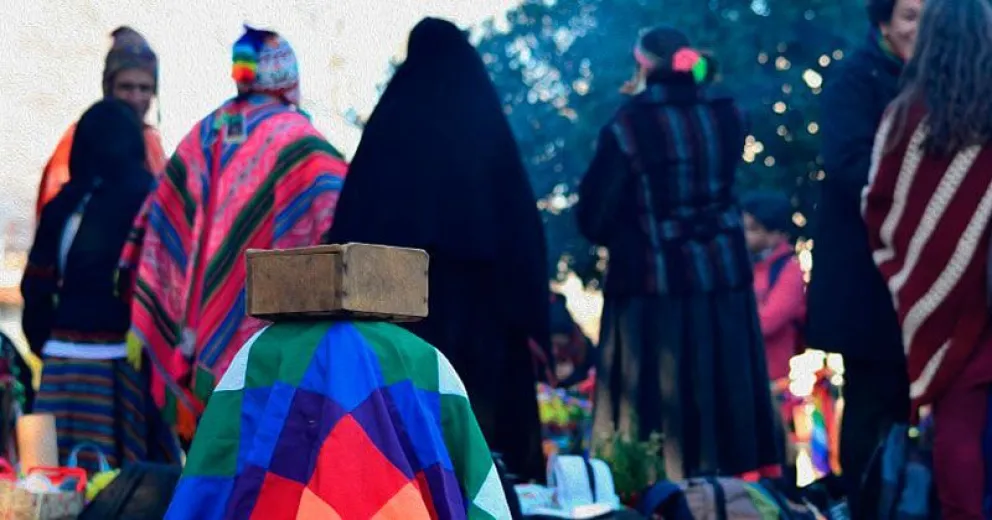 Desigualdad y racismo: la realidad de 30 pueblos indígenas durante la cuarentena