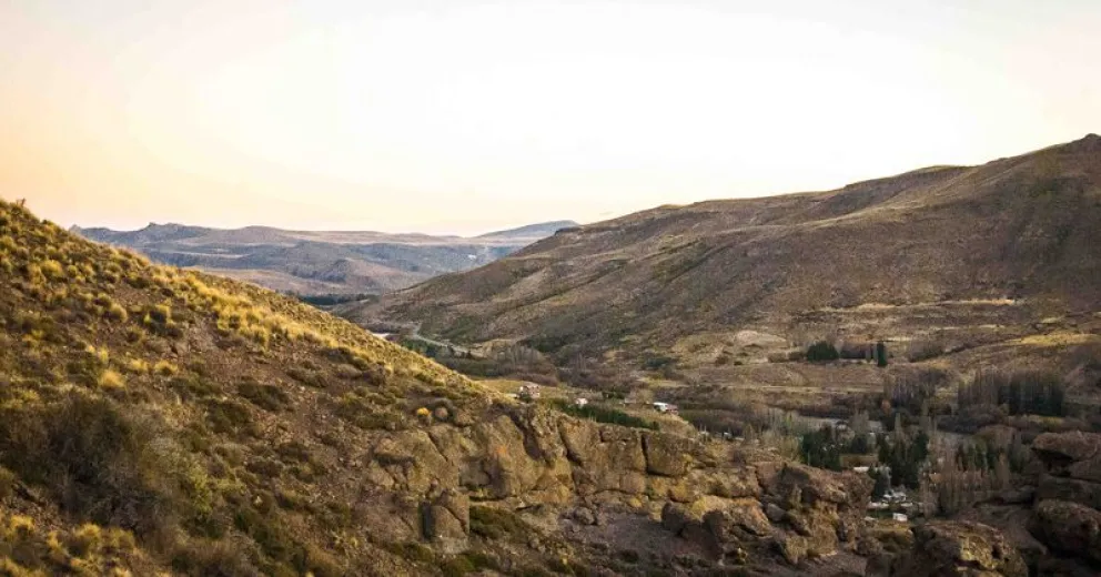 EMOCIONES ENCONTRADAS: Pato Negro