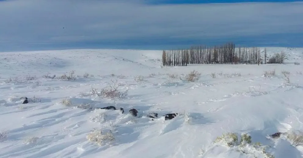 Operativo para rescatar el cuerpo de un anciano fallecido en cercanías de Laguna Blanca