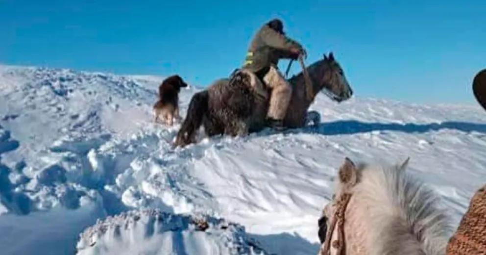 Red Solidaria convoca a la comunidad a ser parte de la campaña “Un fardo de amor”