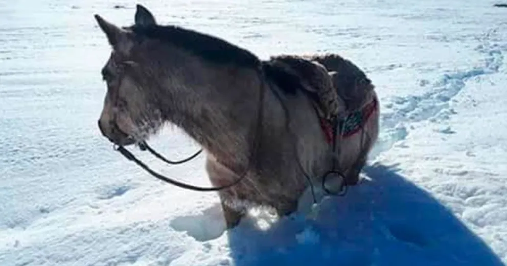 Angustia de un agente sanitario de Laguna Blanca: “No podemos llegar a la zona rural”