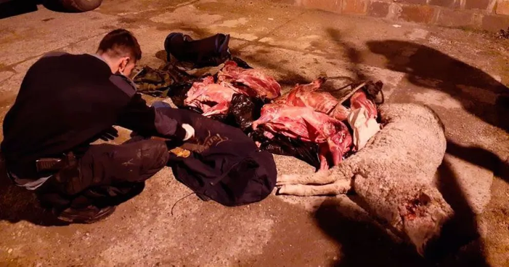 Imputaron a los tres hombres que faenearon animales en un campo privado