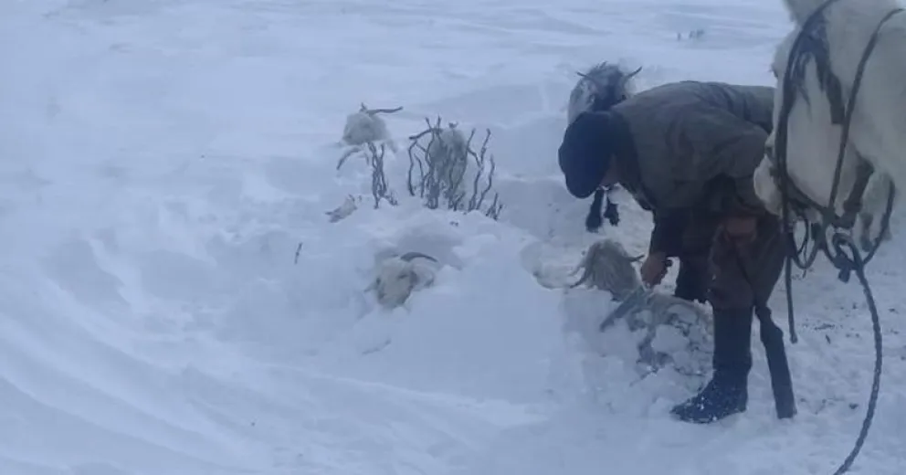 Cáritas invita a ser parte de “Fardos que salvan”