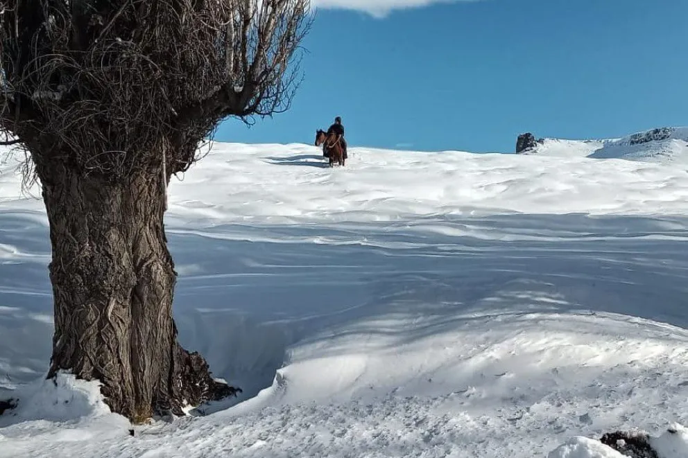 Nación declara la emergencia agropecuaria para regiones más afectadas de la Patagonia