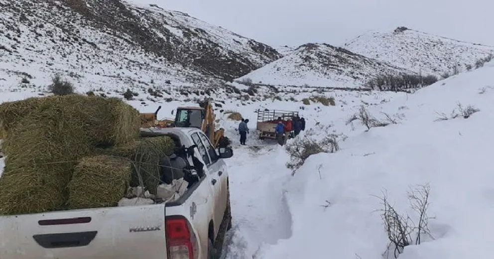 No cesa el trabajo coordinado por Protección Civil para asistir a los pobladores