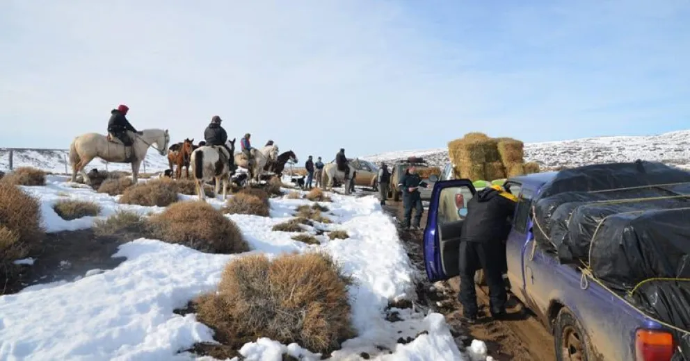 La ayuda a familias de la Línea Sur continúa