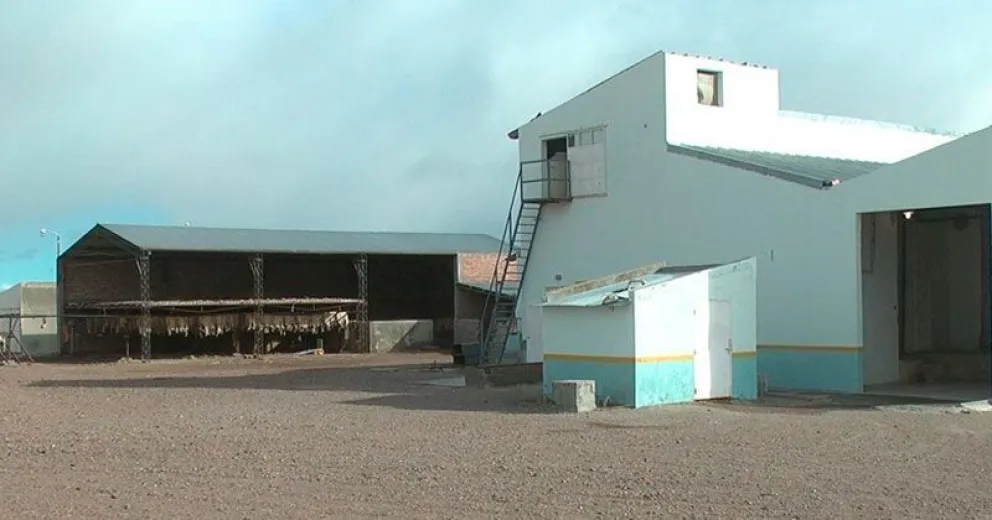 Ex trabajadores conformaron una cooperativa para reactivar la planta frigorífica de Jacobacci