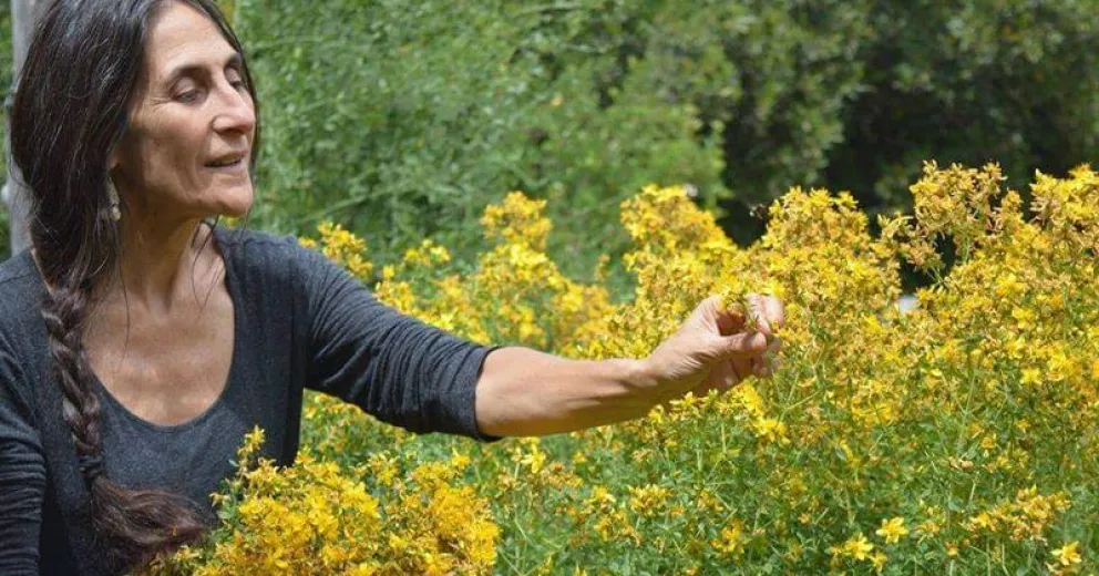 "Hay que volver a lo simple, las plantas sanan desde siempre"