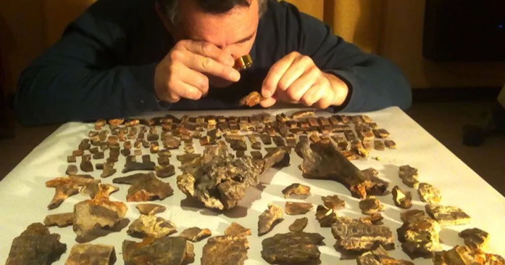 Hallaron un armadillo fósil de 700 mil años que “sobrevivió” a la batalla de Vuelta de Obligado