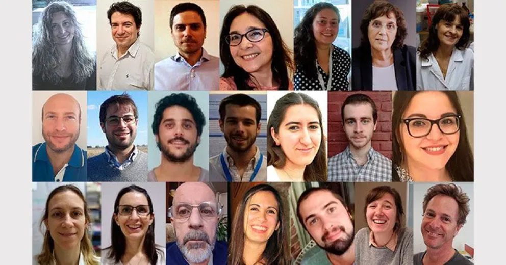 Logran expresar proteínas de coronavirus en larvas de insecto