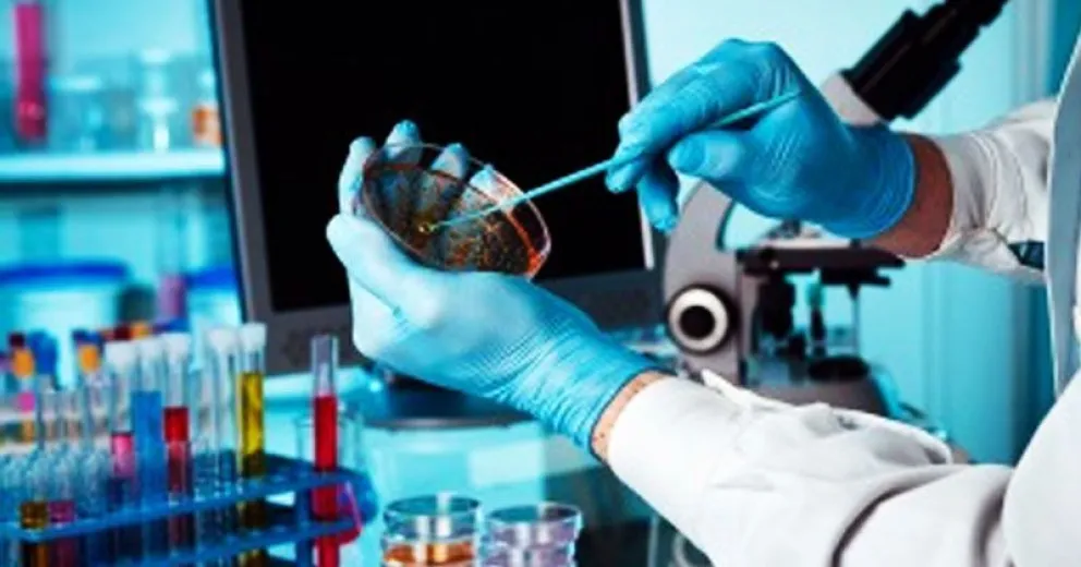 Científicos argentinos determinaron por qué el coronavirus evade las respuestas inmunes