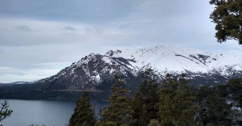 Especialista asegura que las lluvias y nevadas que vienen “mantendrán la salud de los bosques”