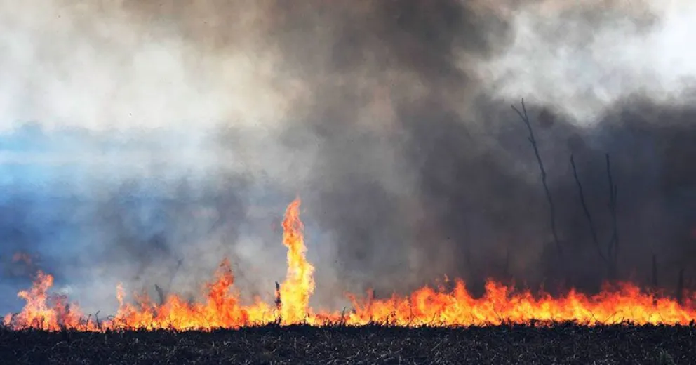 Primer reporte oficial: son 11 las provincias con incendios y el 95% de ellos por acciones humanas