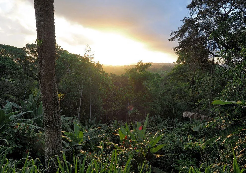 Más de 360 científicos de 42 países piden la transición de los sistemas de producción de alimentos a la agroecología