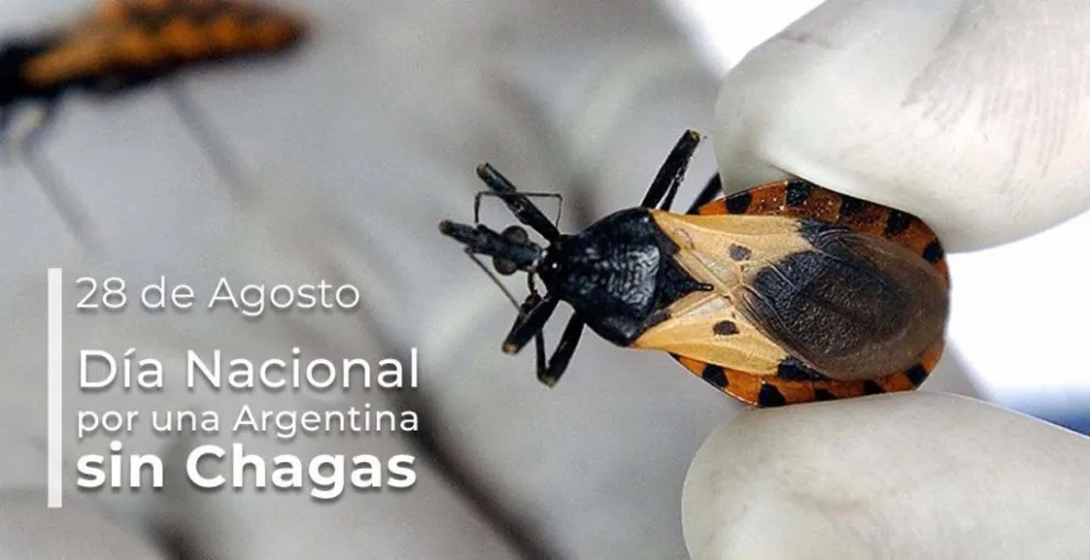 El Ministerio de Salud anunció la reglamentación de la Ley de prevención y control del Chagas