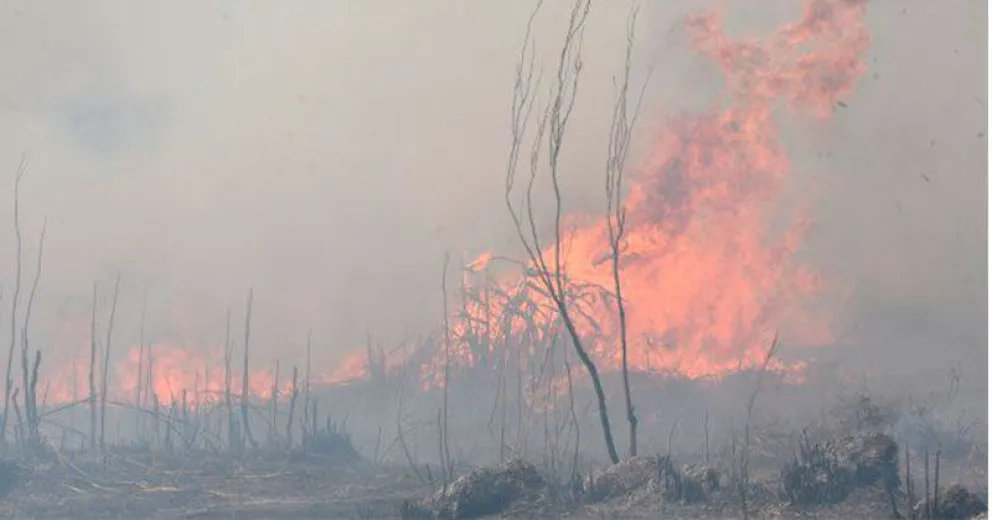 "Estamos frente a un proceso equivalente al que vimos el año pasado en el Amazonas"