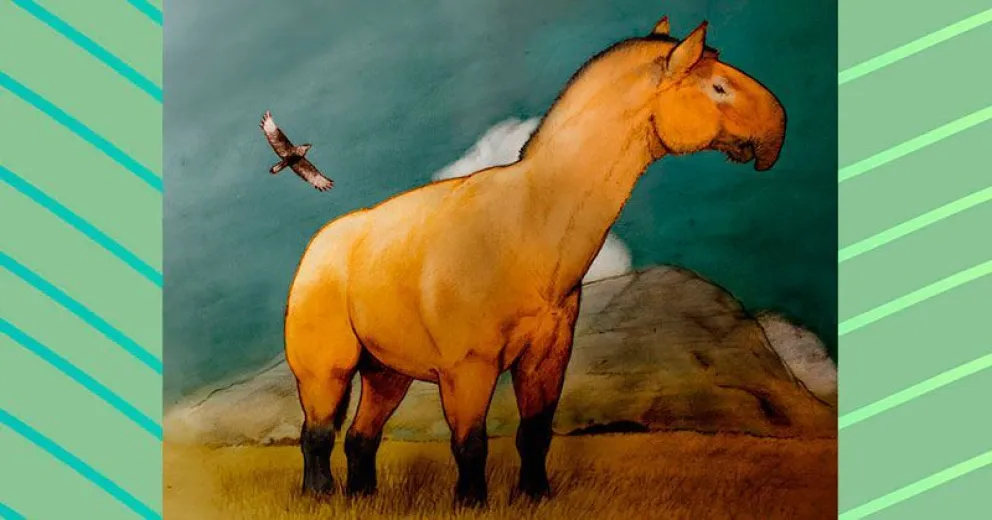 Descubren ancestros de caballos, rinocerontes y tapires en Sudamérica