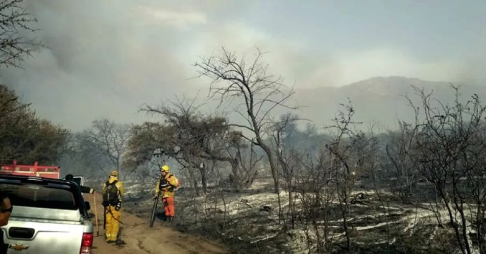 Los incendios forestales quemaron más de 40.000 hectáreas en Córdoba